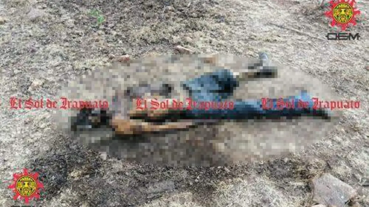 49fda5a2-f999-45f1-984a-c27016f4dd6f