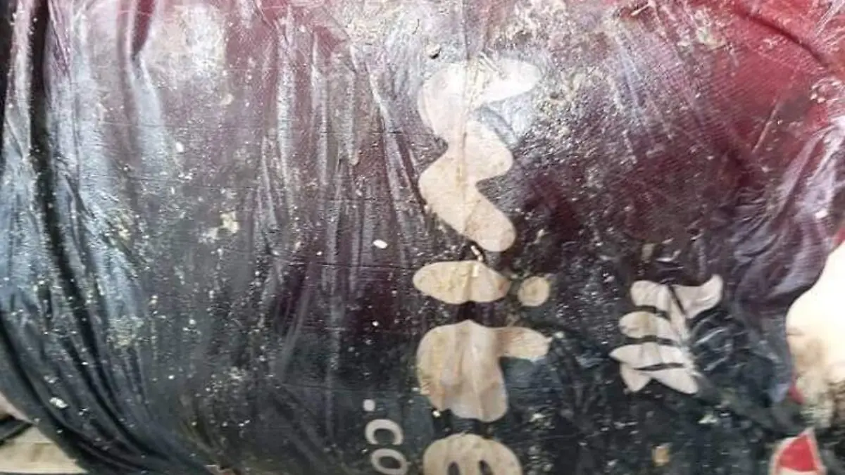 Colectivos-de-búsqueda