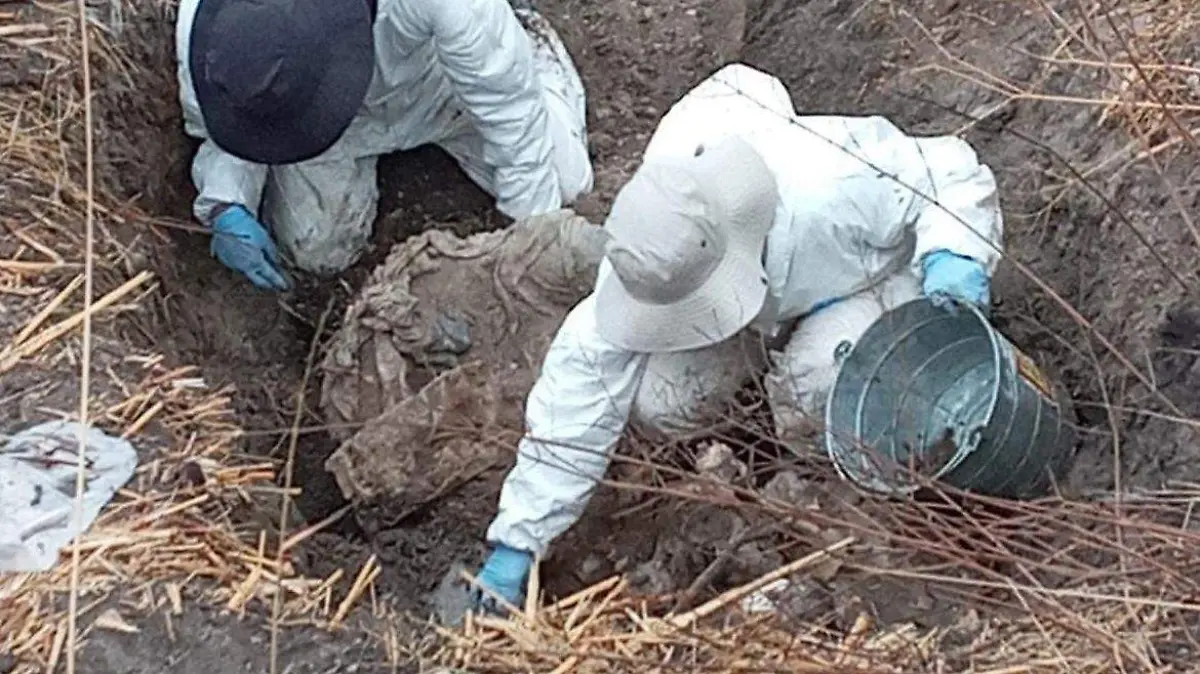 0142f7b6-1b04-48f0-91a1-814d4dc08f6c