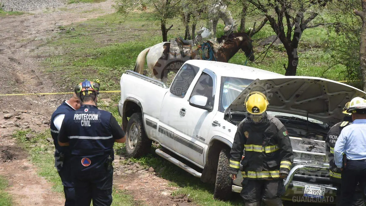 374396ef-c204-42e4-84c3-03b766950375