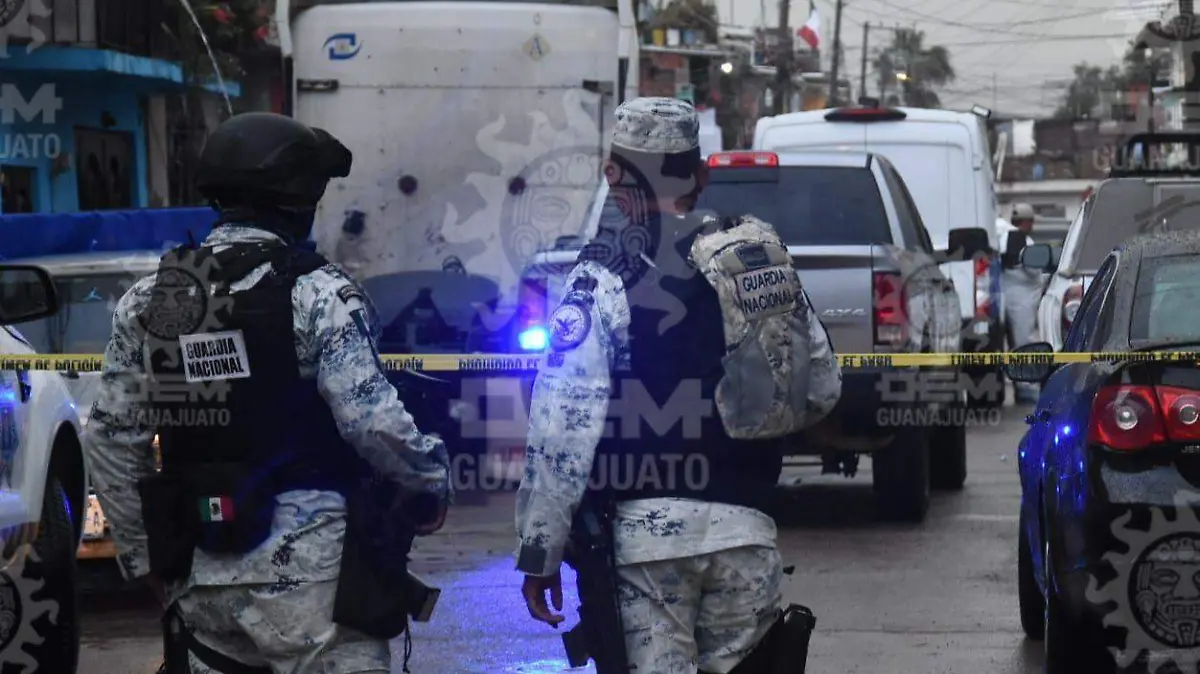 3517891a-ff27-4219-9be0-f6e8c075189b