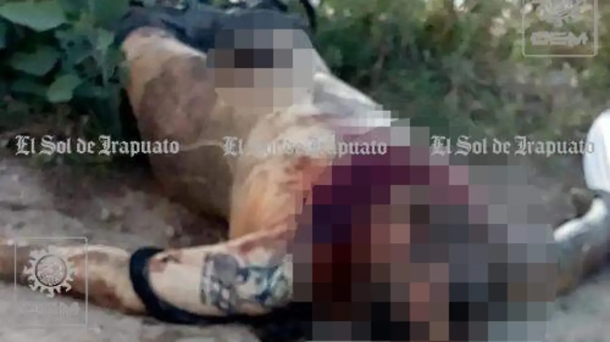 WhatsApp Image 2018-10-21 at 9.02