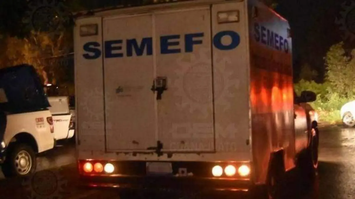 Semefo