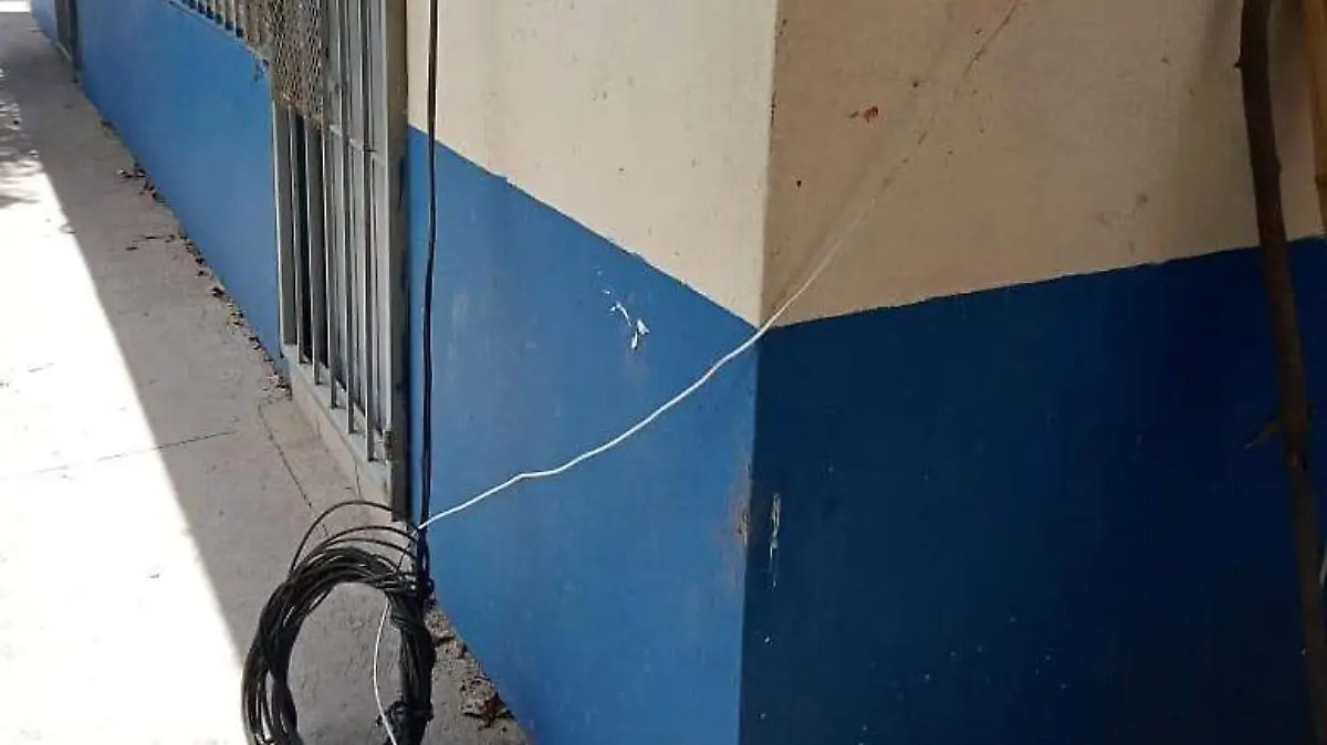 261bbc41-7d5a-4a8d-bcda-12d8fe95edec