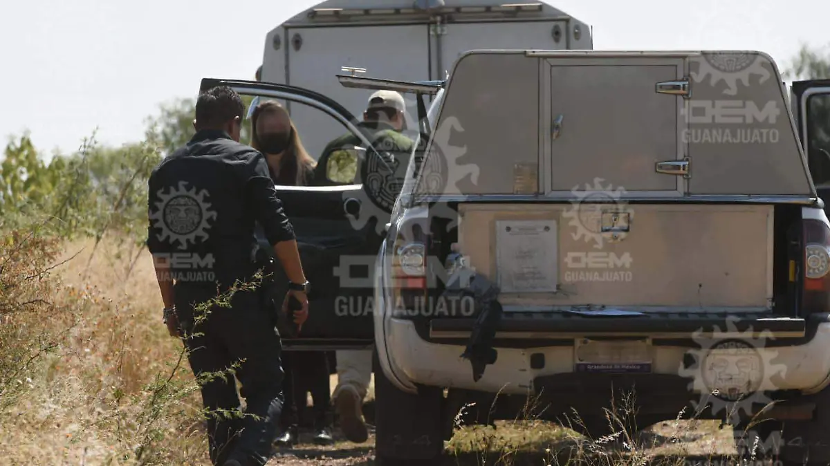 020bd531-d647-4fa2-86c3-acca79eaa651