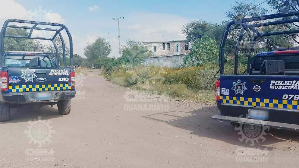 3d2d6862-aba5-4389-b542-649e14d0be40 (1)