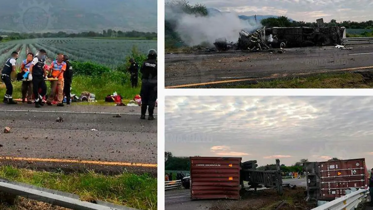 9f567f84-af48-4ab4-a6c9-bd038ba43b04