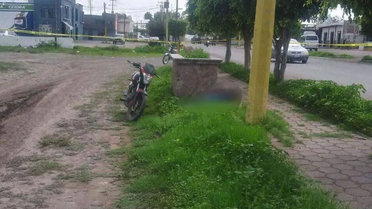 e6ba4630-4220-4f91-a215-32402ffb6e04 (1)