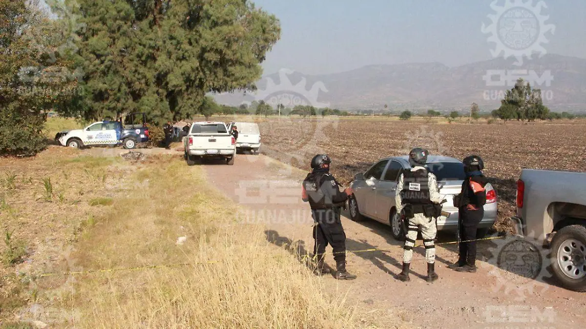 Cadaveres-en-pénjamo (2)