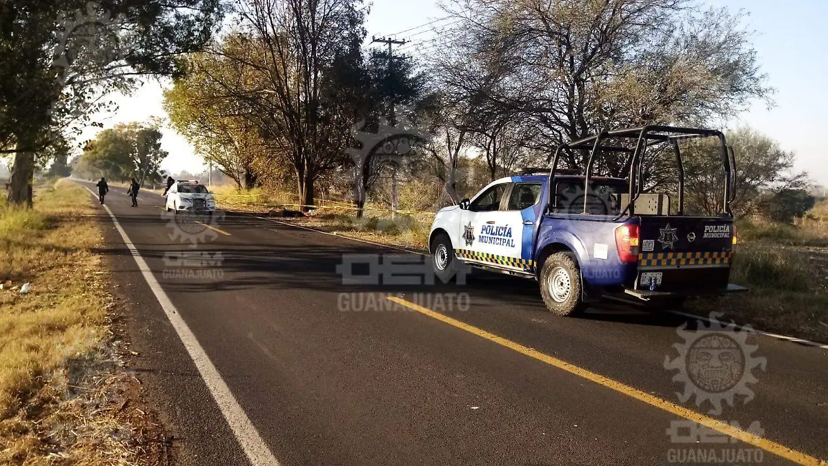 Localizan-dos-cuerpos-sin-vida-en-Huanímaro