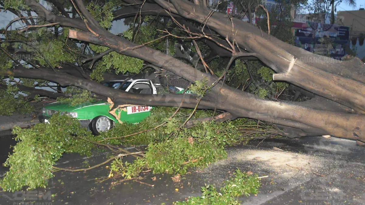 1d9ef4a0-ab9f-4fd7-bdd6-c7f549a82f26