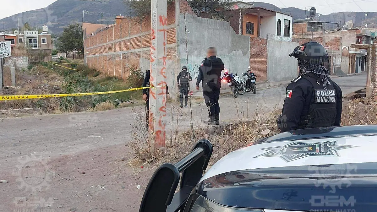 2f5dae07-ec7a-45d3-8b7d-0d021695c267