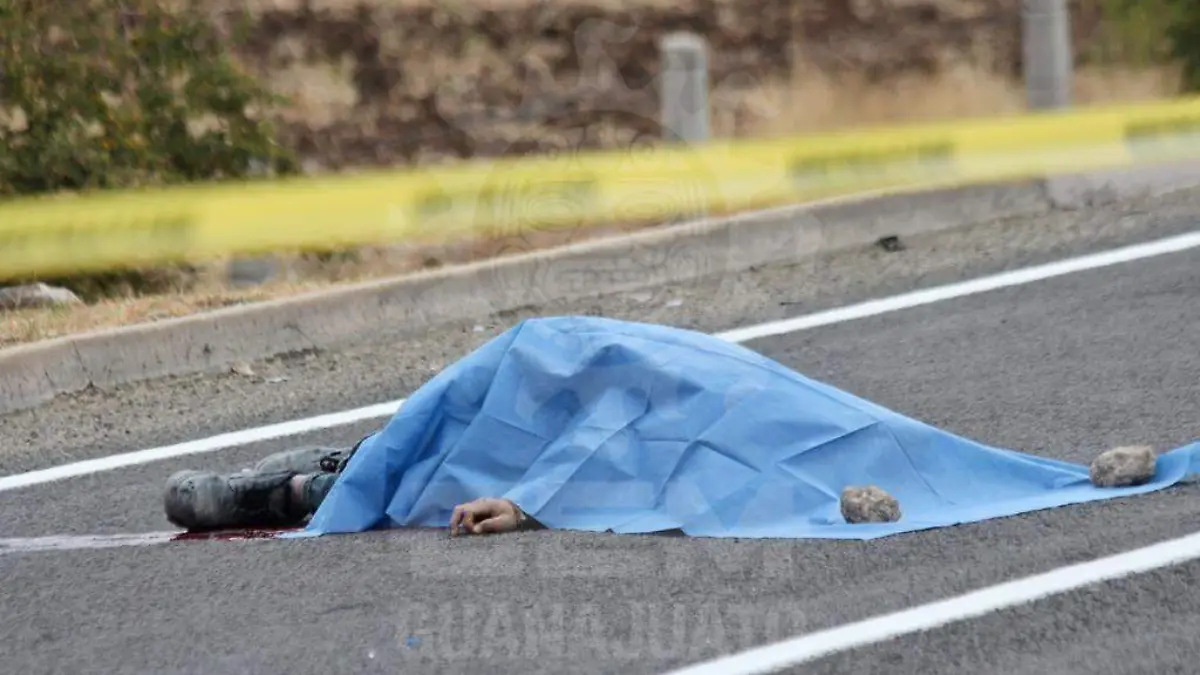 WhatsApp Image 2020-12-04 at 10.35.10 AM