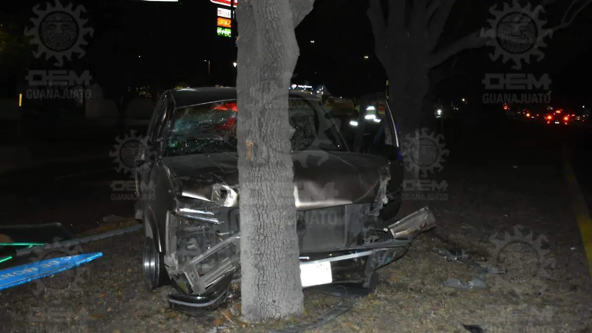 445ebf46-2aaf-42f7-92cd-c9b0765bec45