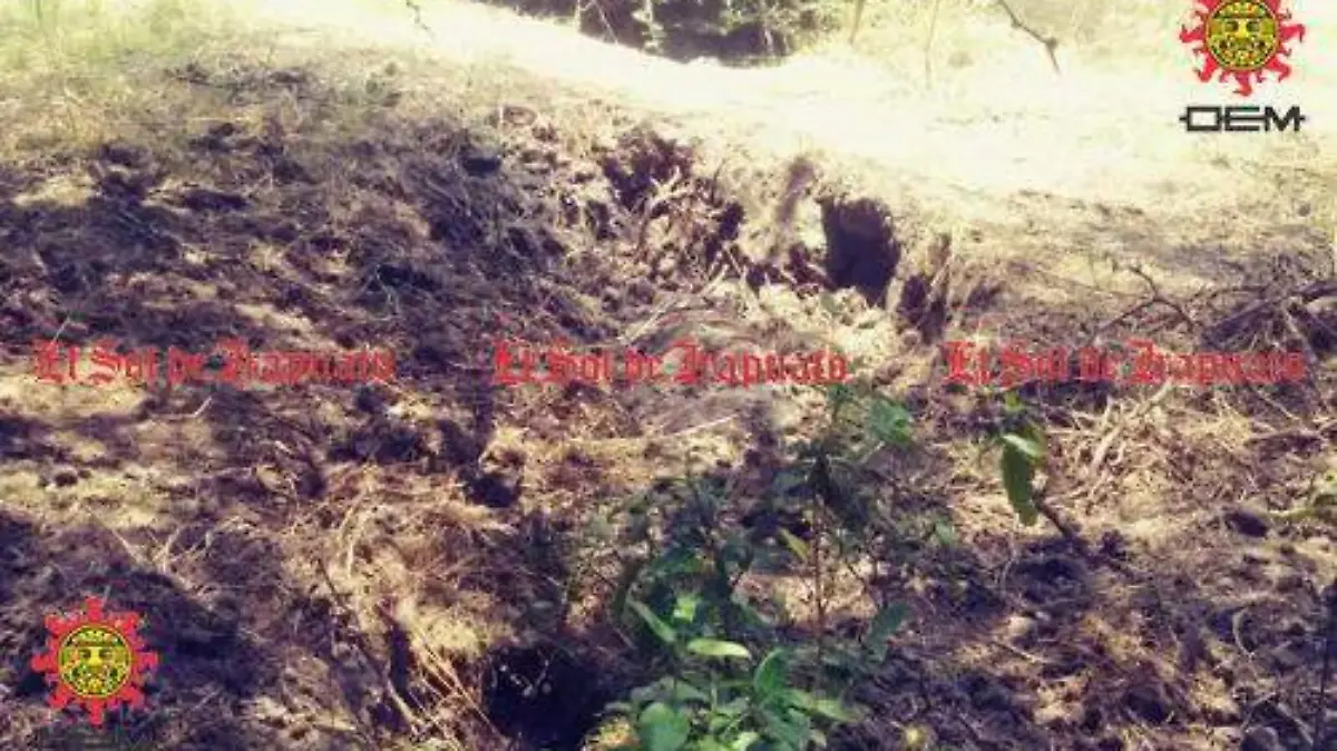 85f1b2b9-d684-410a-83e8-d9da30efdfd5