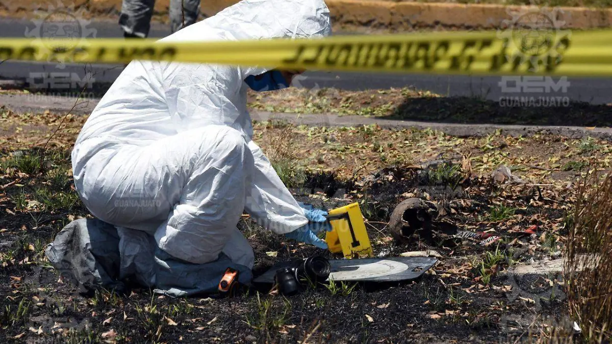 Localizan-cráneo-humano (1)