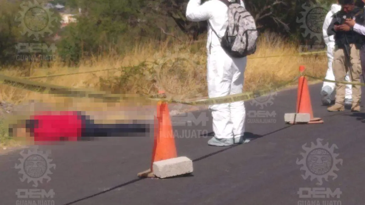 b0083769-59a2-469c-b0ab-677bee998325