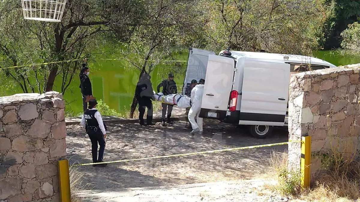 WhatsApp Image 2020-12-18 at 12.53.50 PM