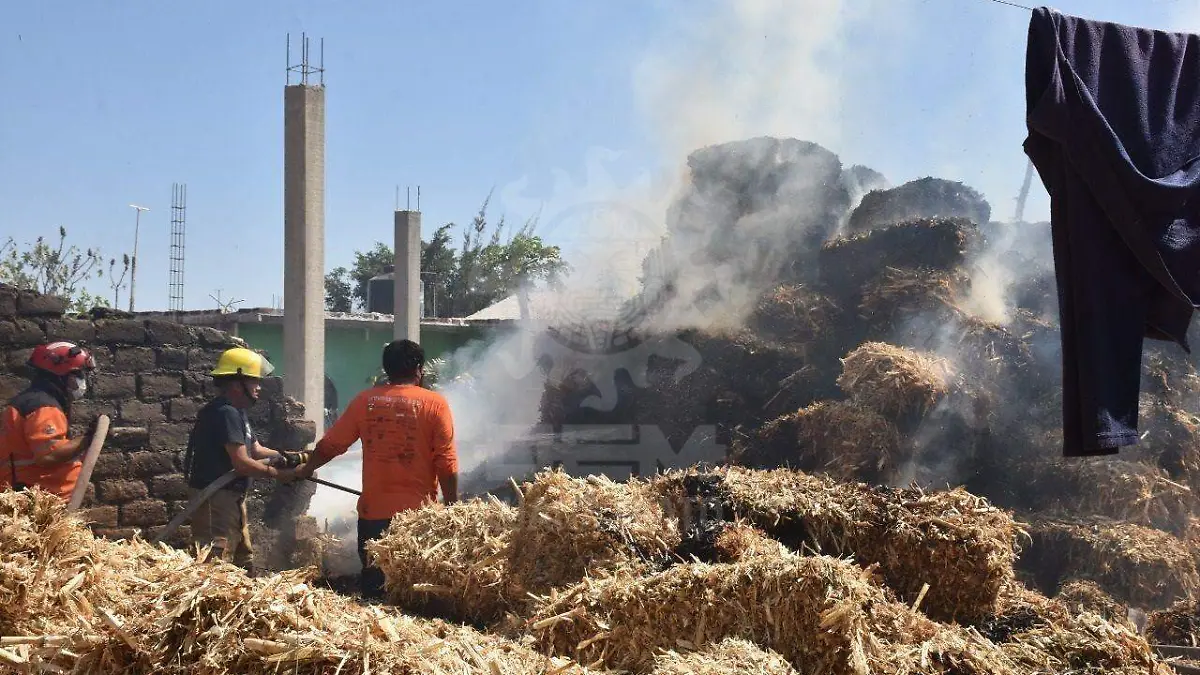 8f618a4a-44f0-4da8-aba9-8112260bab98