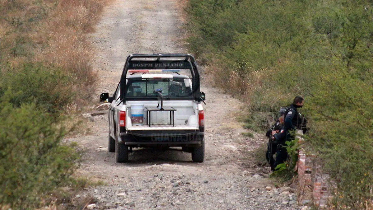 41b55468-1809-4501-a819-d45b055c4010