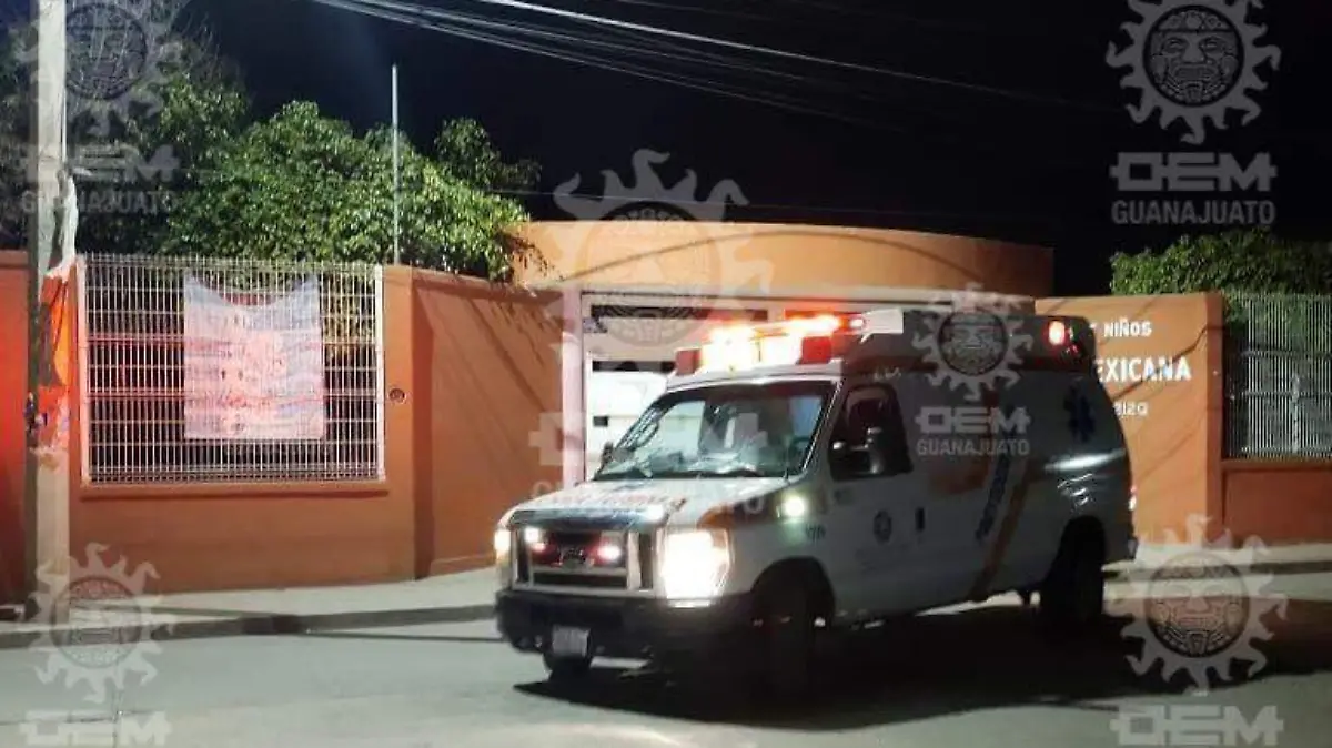 648331e3-6b6e-4ebf-8095-b066ee2be393