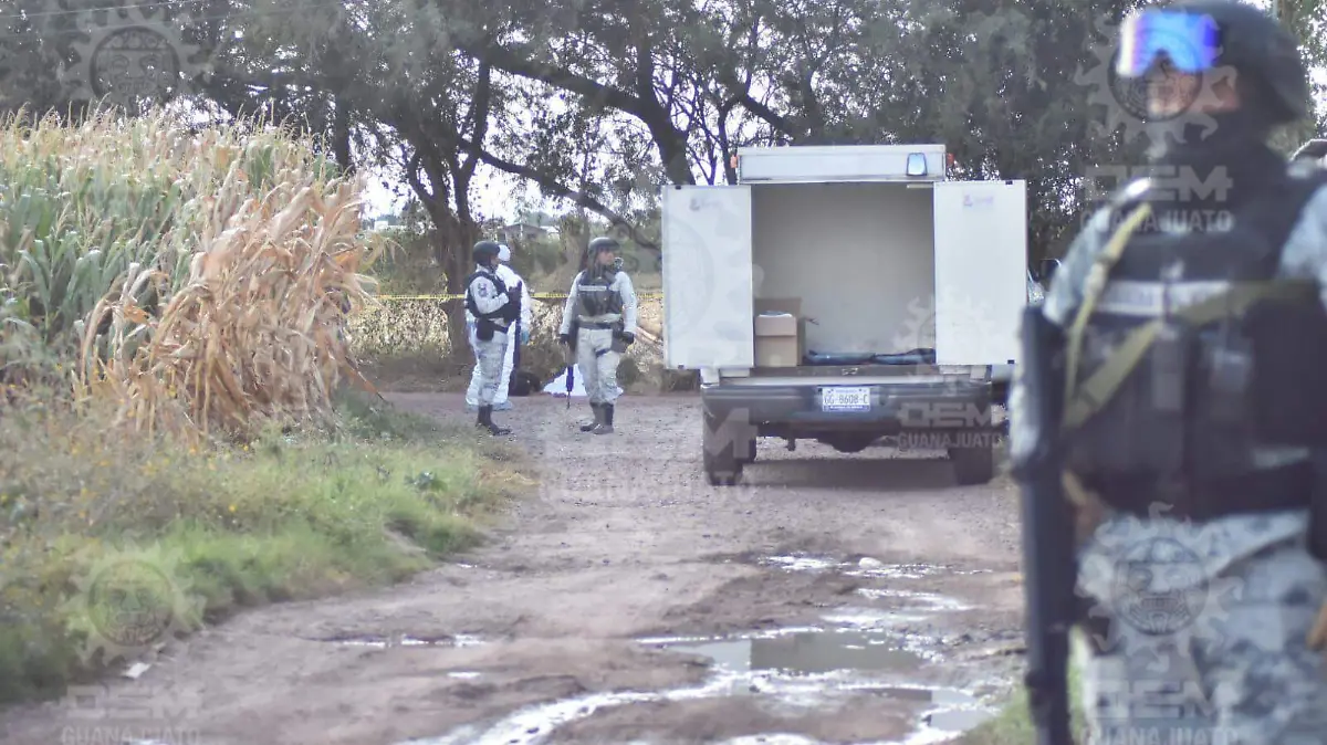 3e88b5f0-04e9-4023-ba07-d5e49f987f18