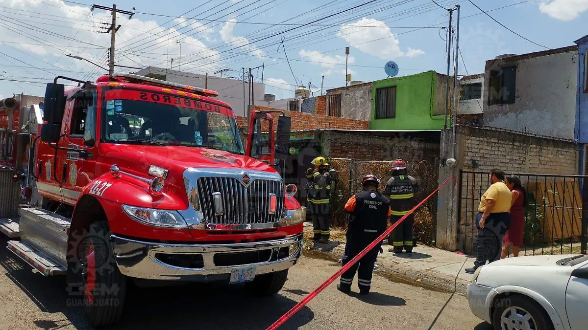 Muere-perro-en-incendio (3)