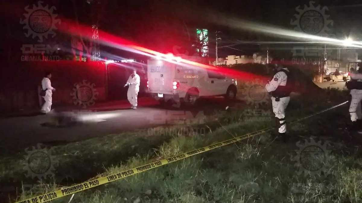 4a088d09-ef10-4a38-b275-a53bb421174d