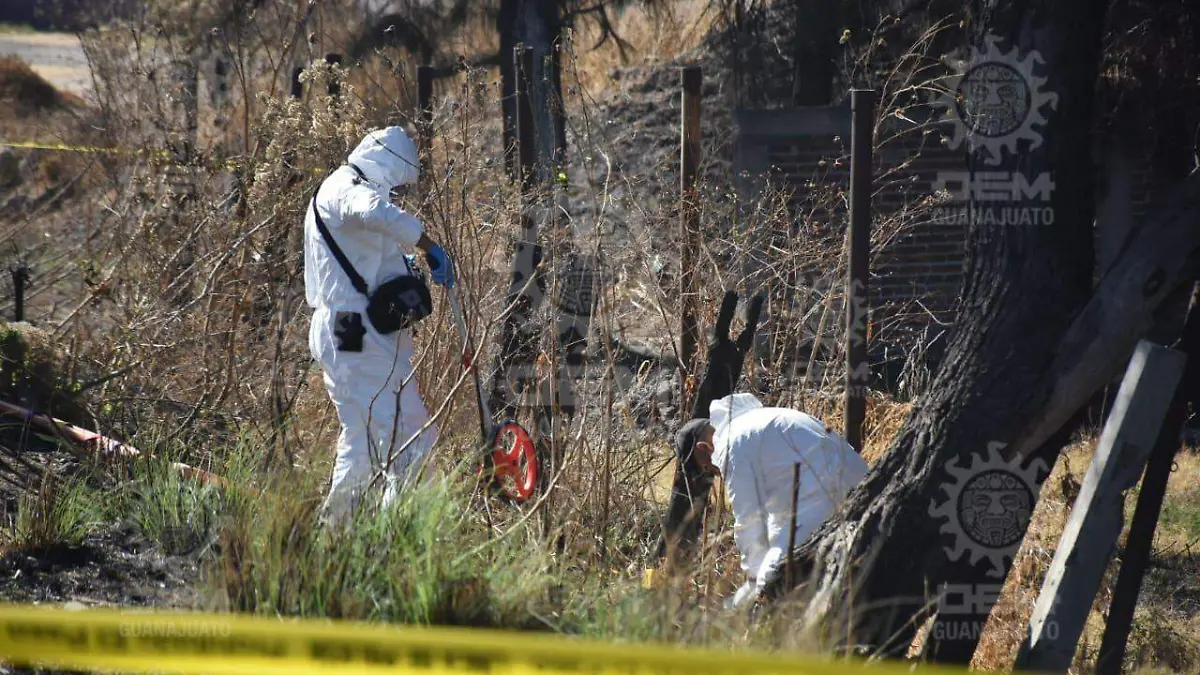 1d91e214-3145-4189-9fd0-192882b65942