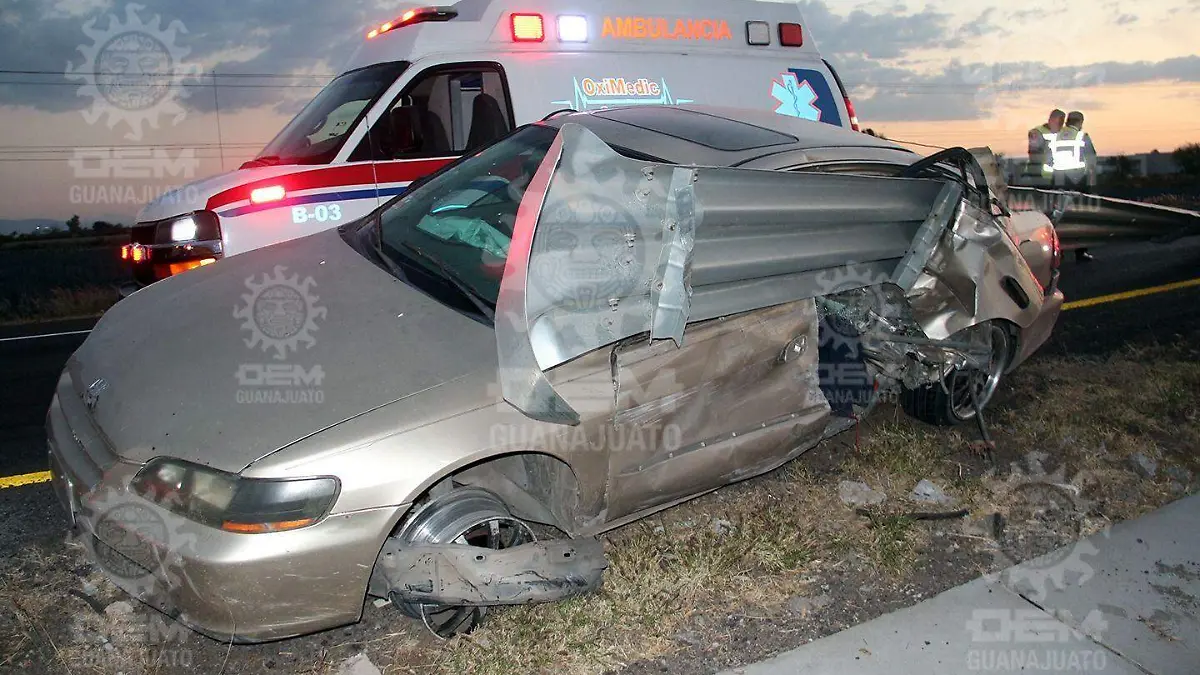 WhatsApp Image 2023-01-27 at 8.08.18 PM (3)