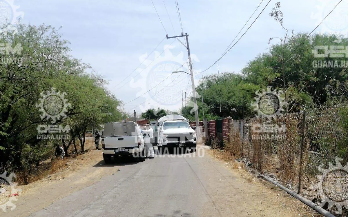 8b0a681a-d9d7-4608-9a98-3bfa0ba4dcb0 (1)