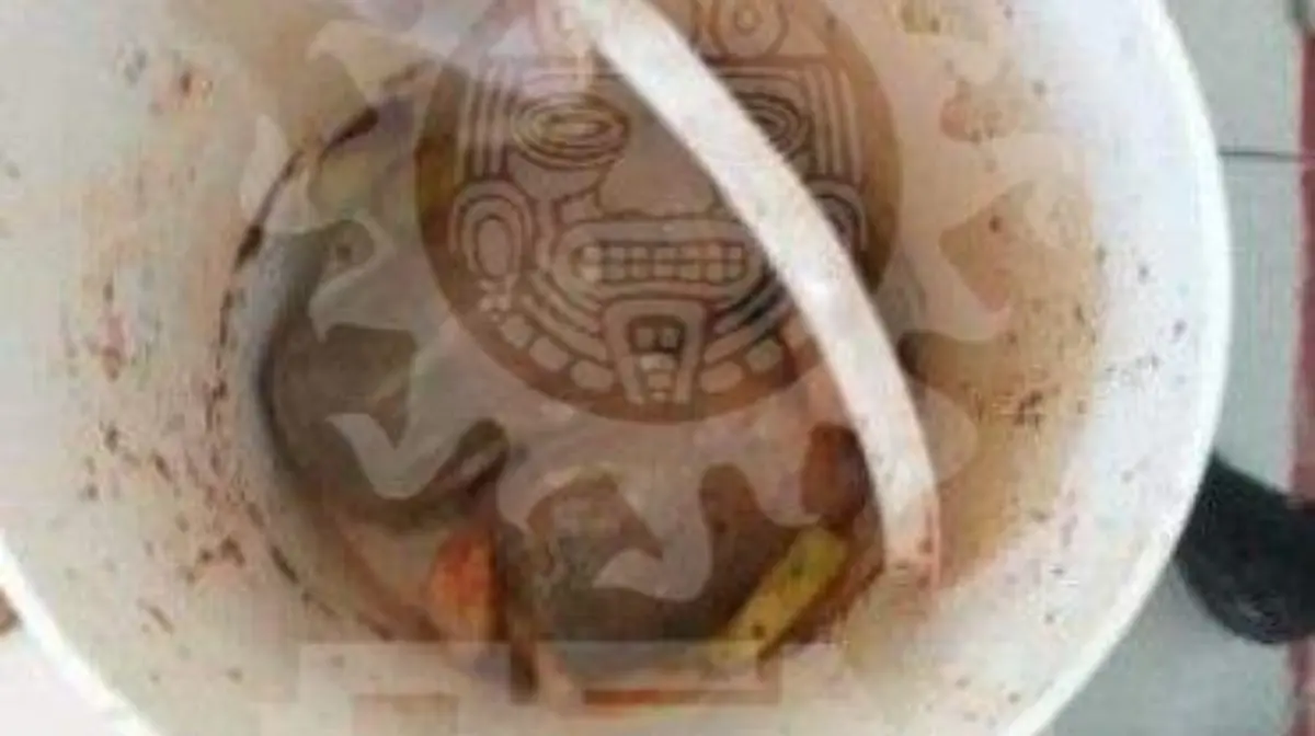 4bda905d-debc-47f2-be12-4546ae27d702