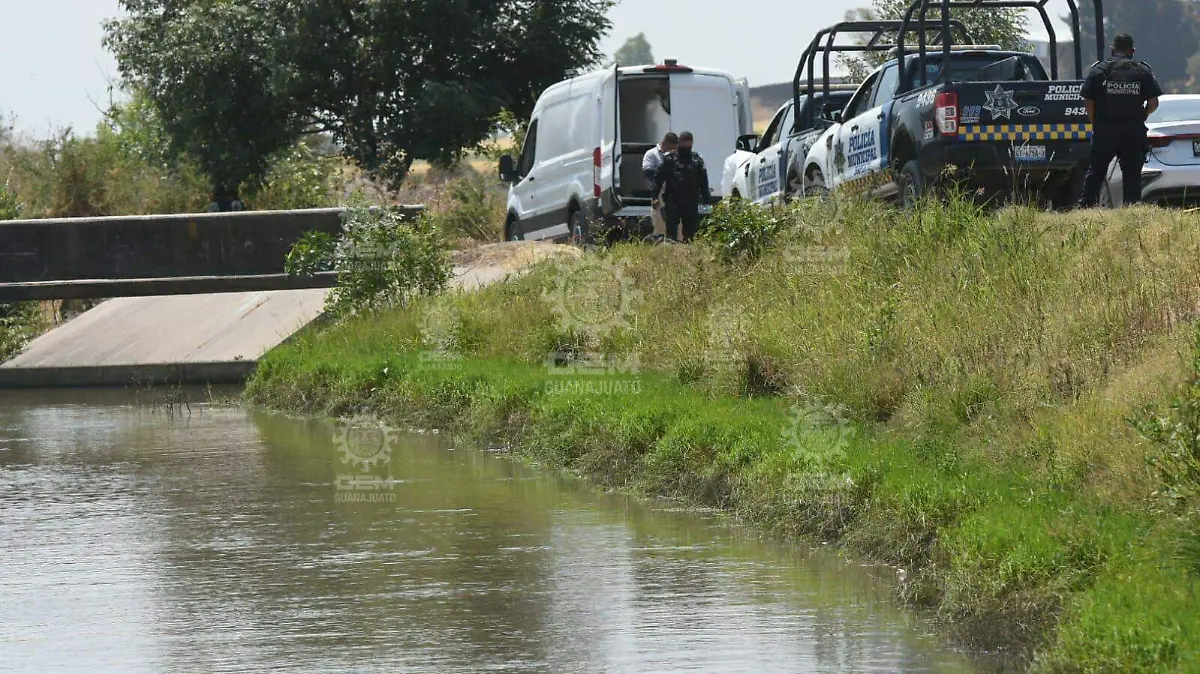 37239328-f628-4d6e-8e49-f4784a9f5017