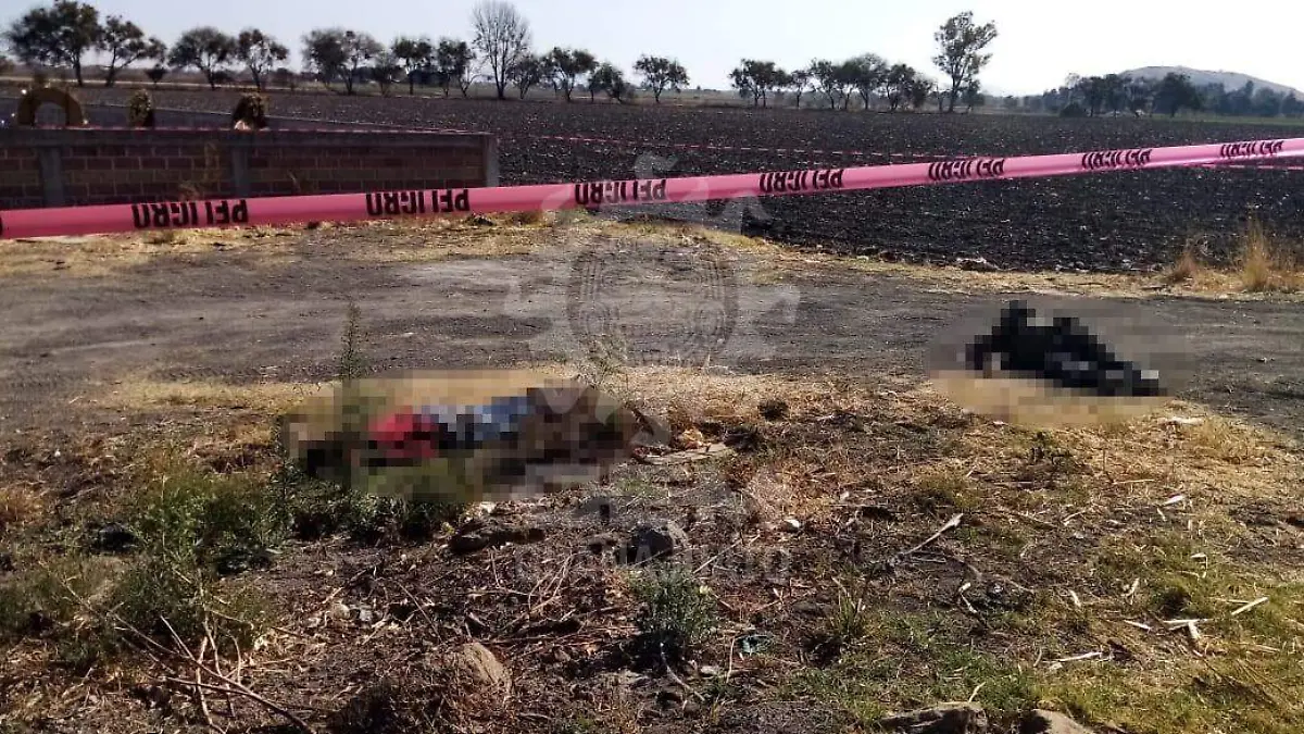 52adabdc-b978-4fc8-8e9c-b29ba1ada0b2