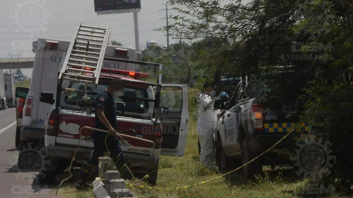 b8e3416a-1b3d-4498-aae7-c91e2ecf8fa2