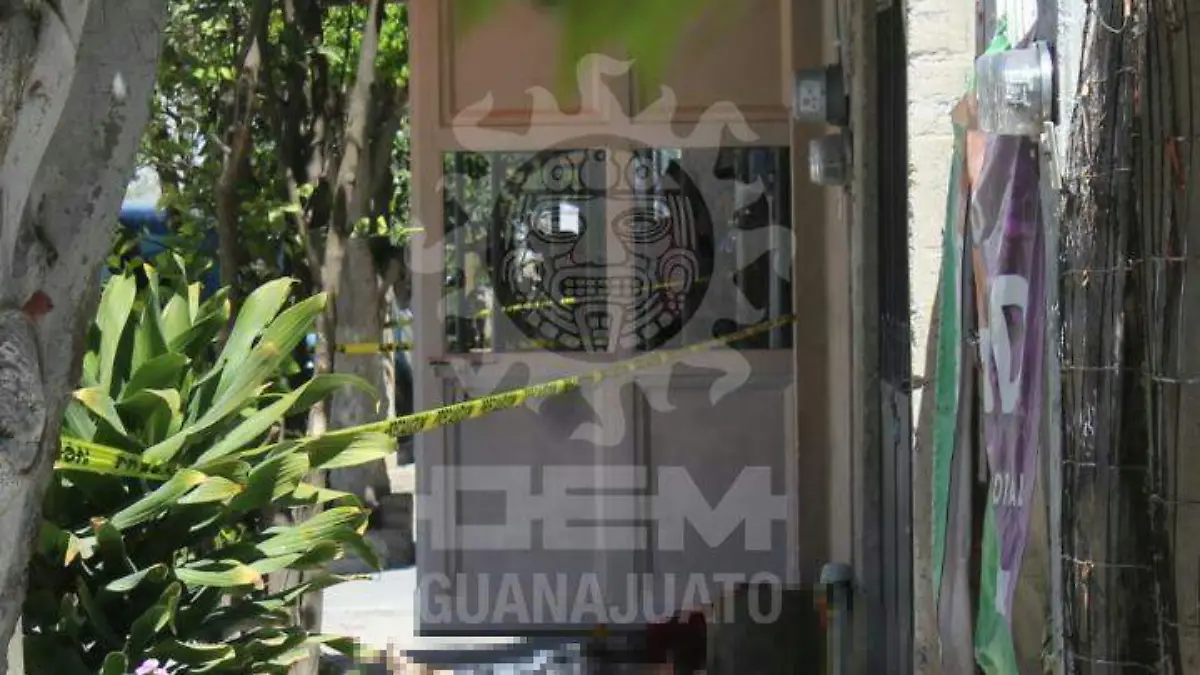 feafea5d-1702-490c-8193-202c01456dbb