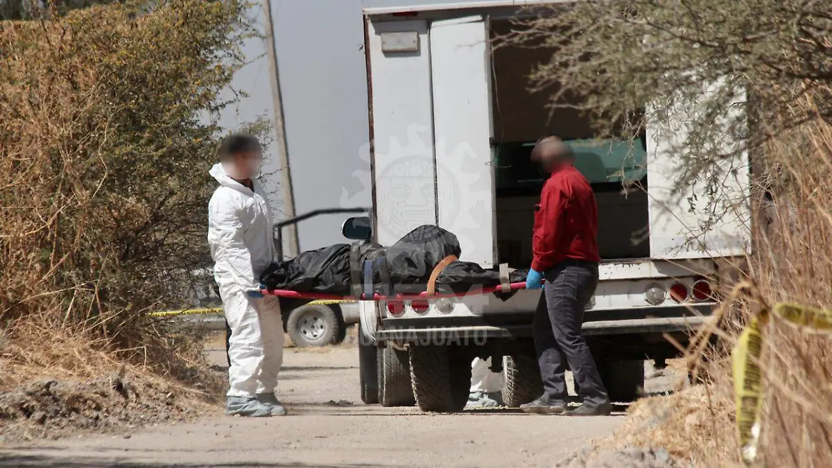 784f4033-b8a4-4cea-a8f6-0b87049d0c58