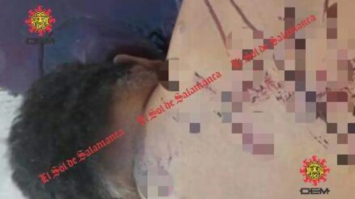 MUERTO EN VALLE BUENA OKOKOK