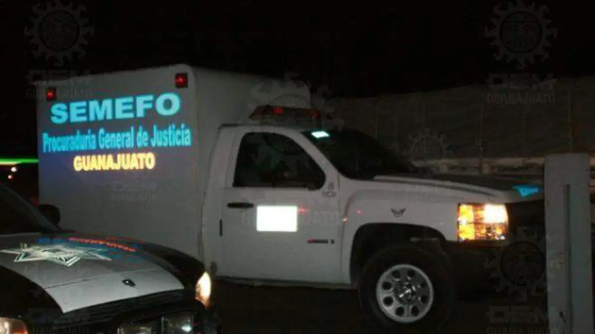 ad6e3024-847b-478d-9deb-c6276cc058e0 (1)