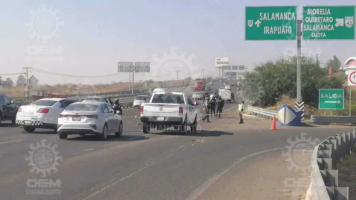 WhatsApp Image 2023-05-13 at 9.36.43 AM