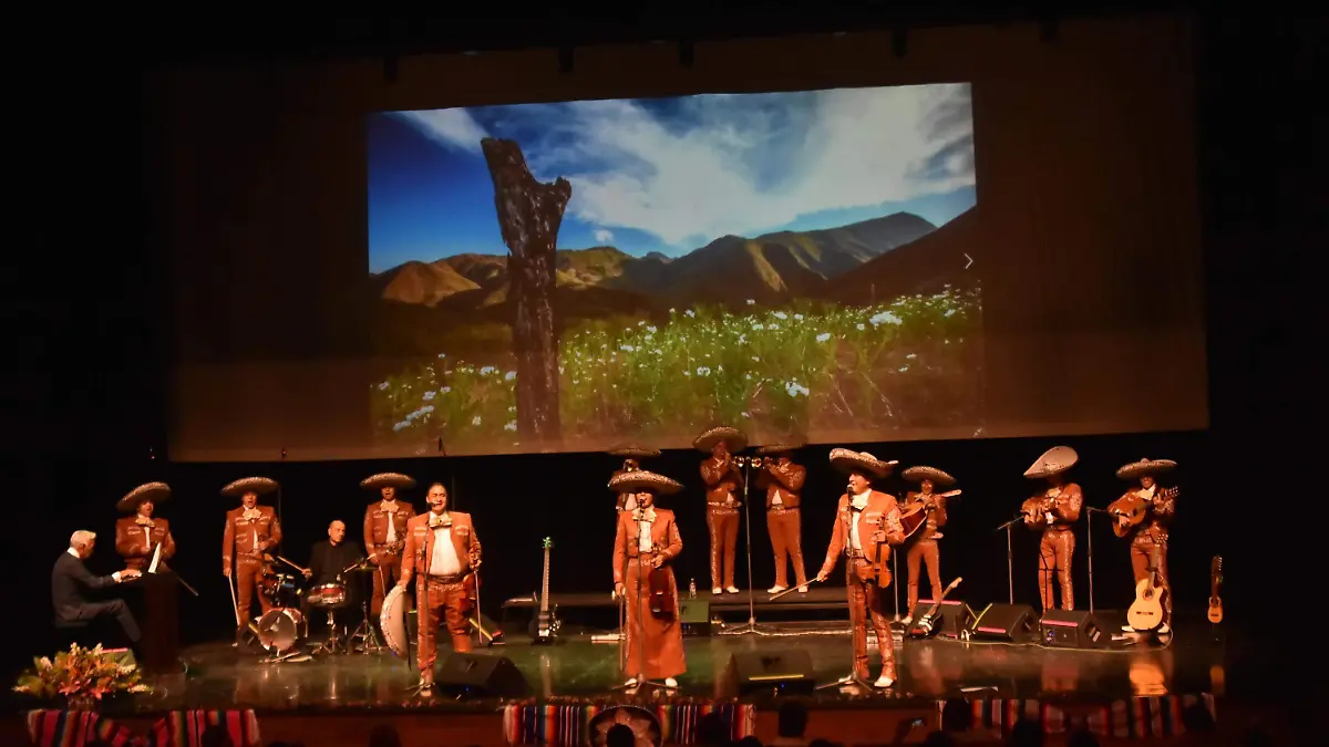 Mariachi-Irapuato (1)