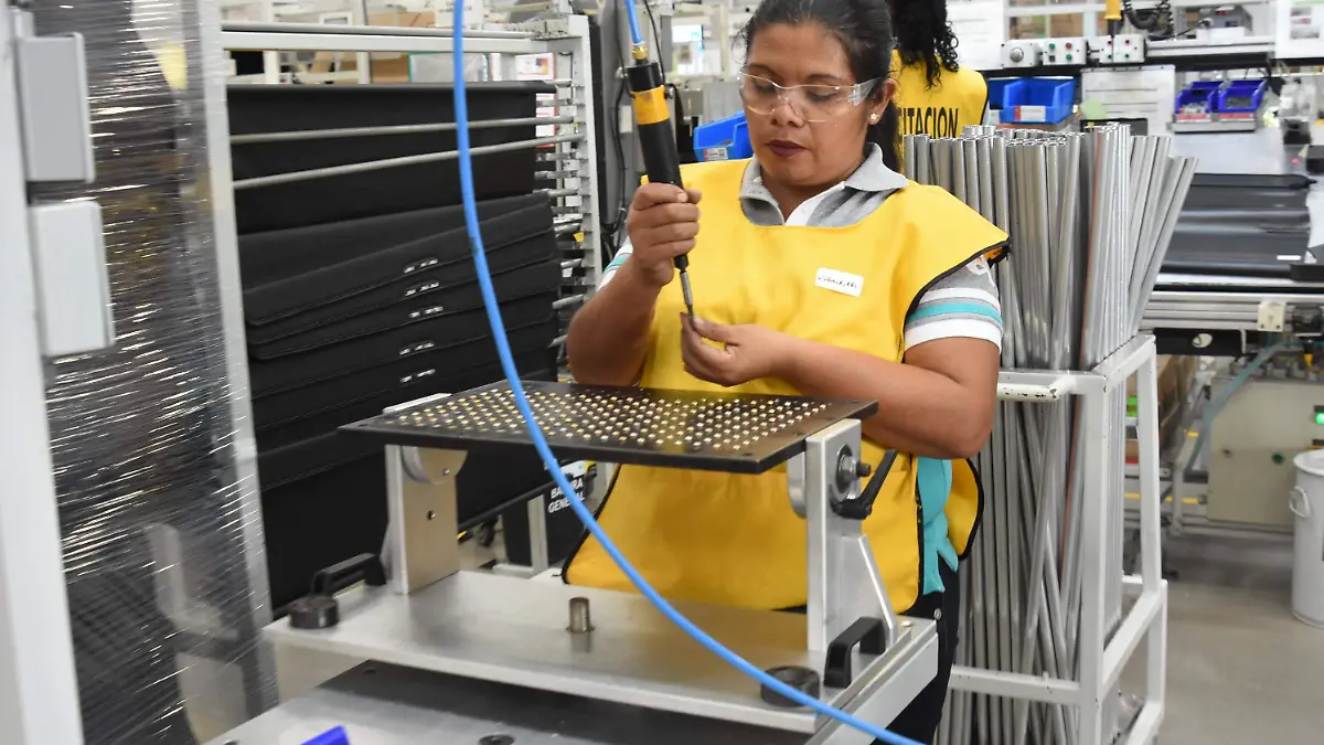 TRABAJADORES INFONAVIT (1)