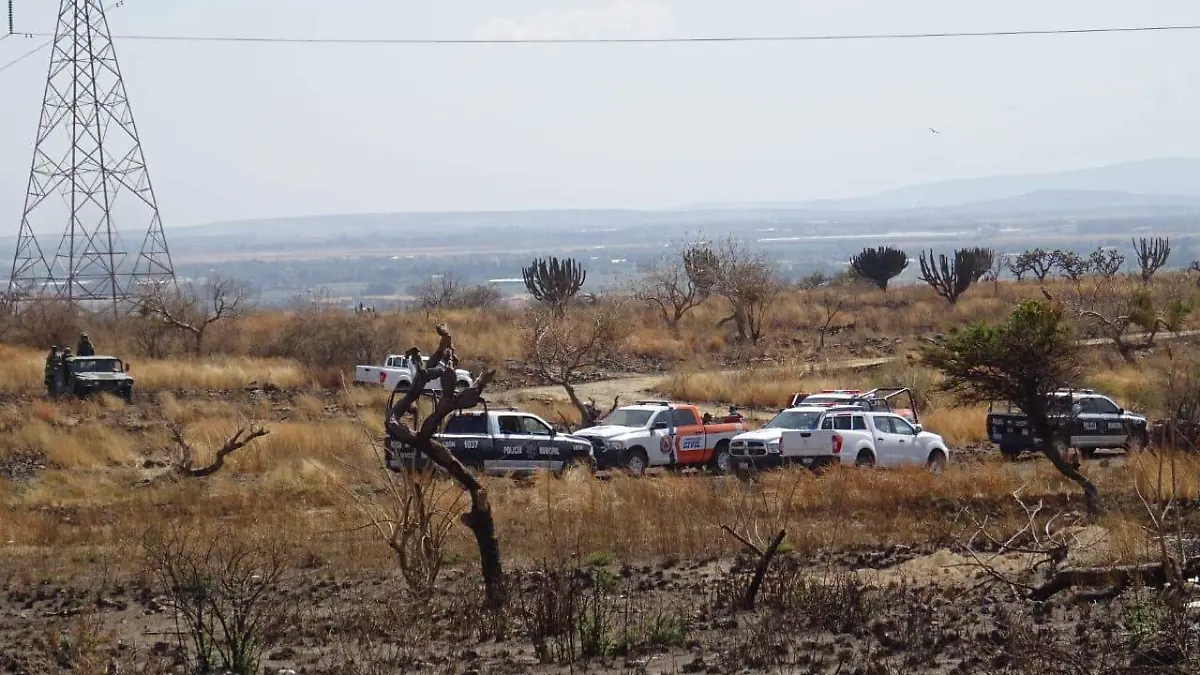 1a3b002c-7017-478b-8a68-85c695515b63