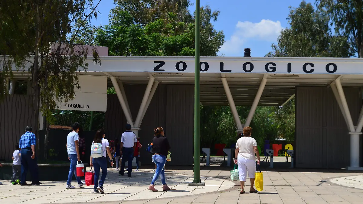 ZOOLOGICO (4)