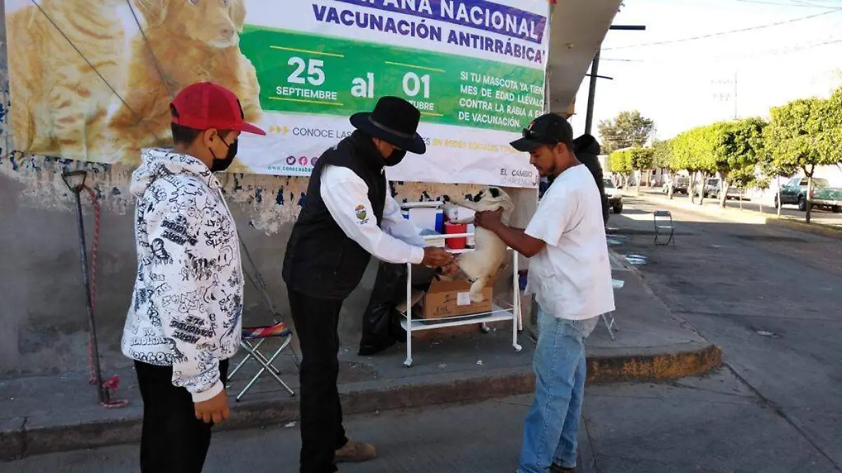 vacunacion antirrabica (1)