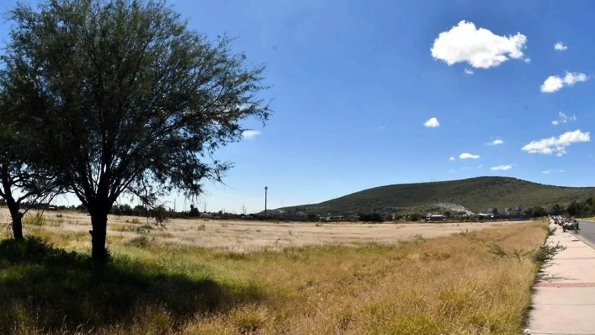 Preservarán-Área-Natural (2)