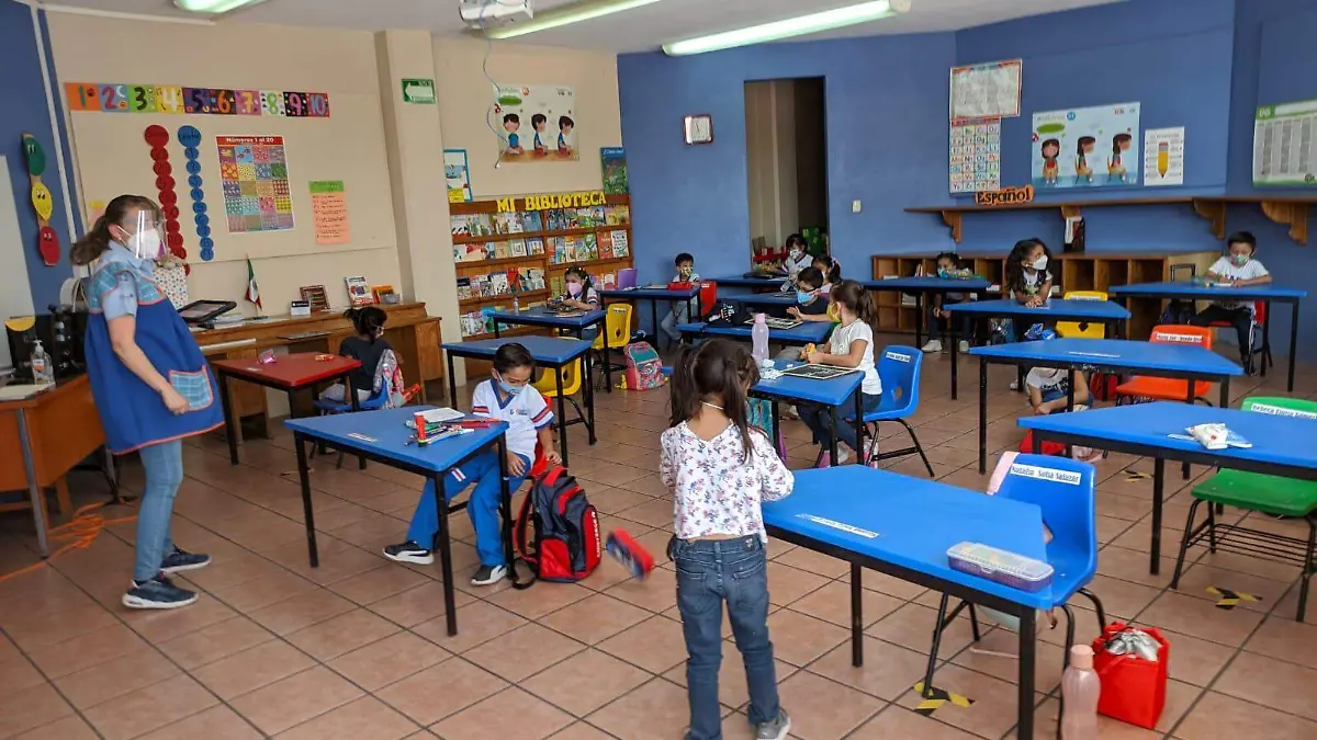 Image 2023-09-01 at 7.55.11 PM