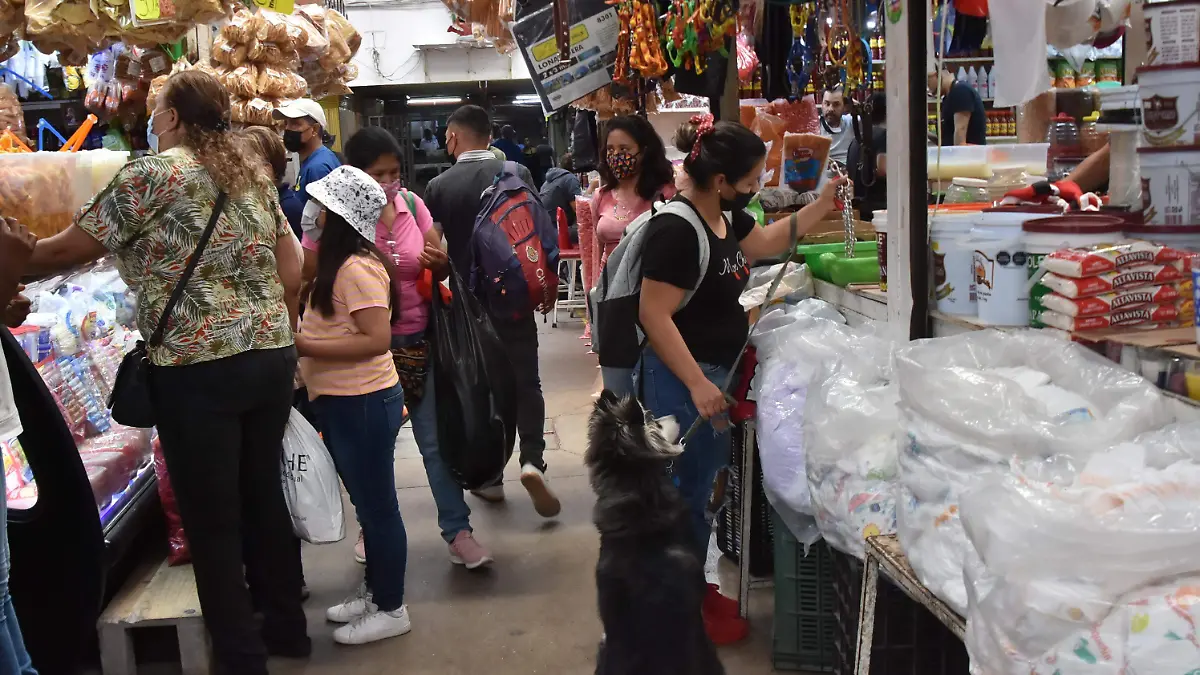 CANASTA-BASICA-(11)-