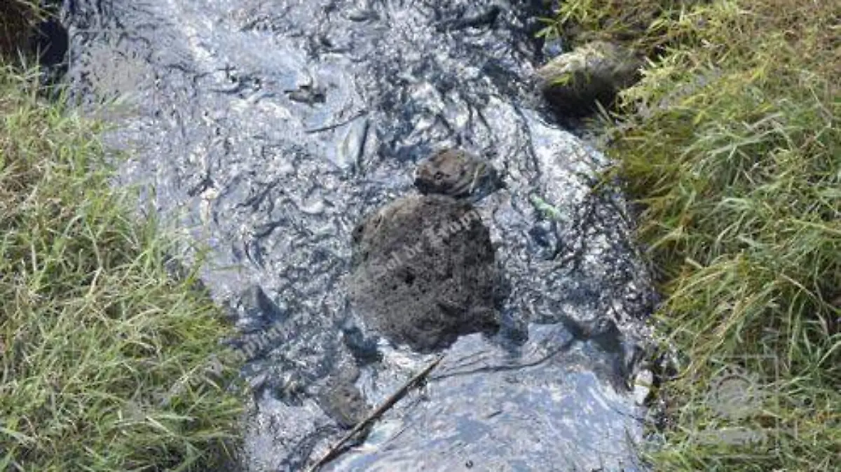 RIO CONTAMINADO (1) OKOK