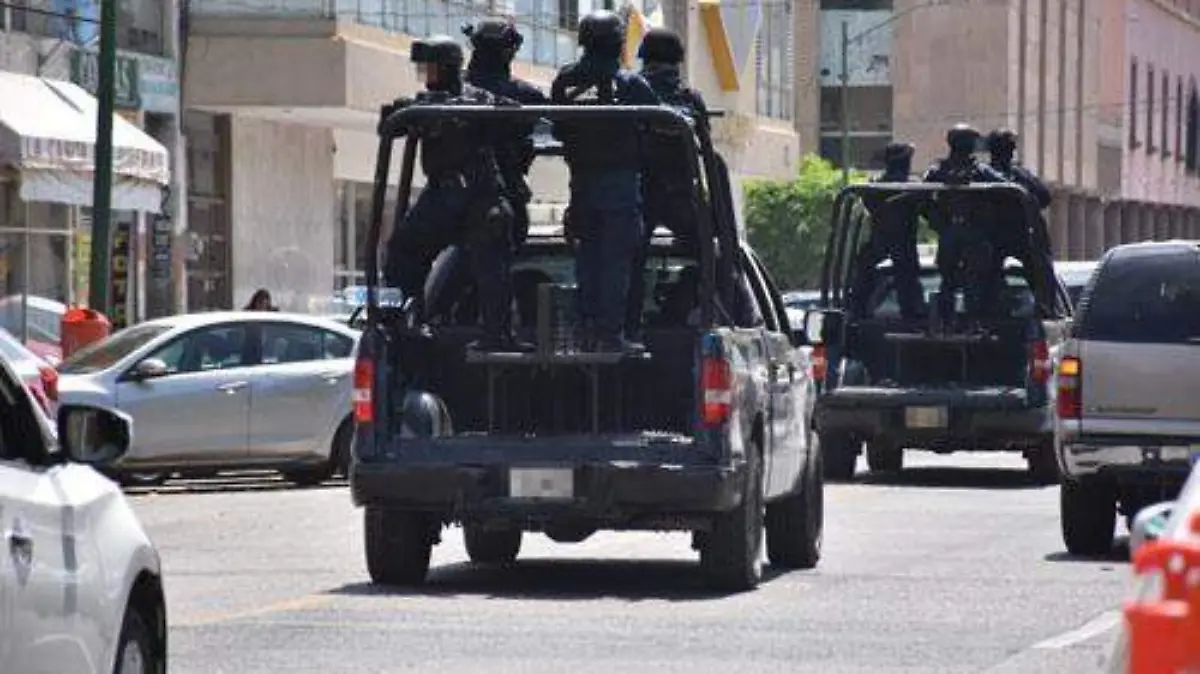 POLICIA FEDERAL OK
